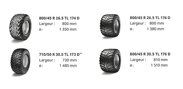 Variantes de pneumatiques