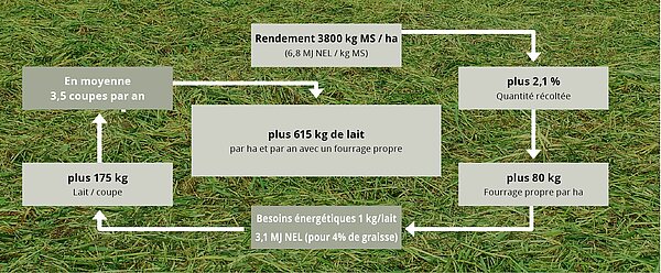 Fourrage plus propre et pertes de récolte réduites confirmés par la DLG