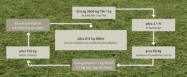 Fourrage plus propre et pertes de récolte réduites confirmés par la DLG