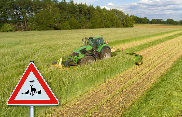 Protection des animaux sauvages
