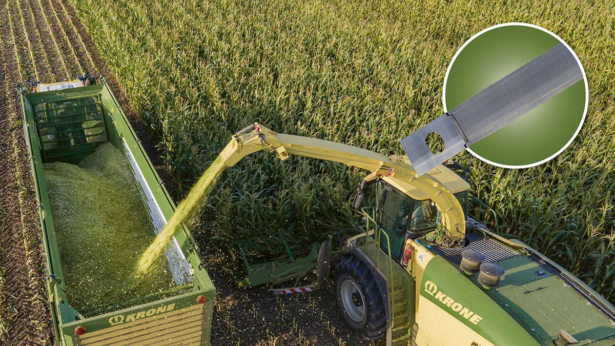 [Translate to FR (France):] 